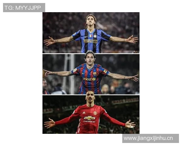 足球明星爱坤伊布的传奇人生与辉煌成就全景回顾